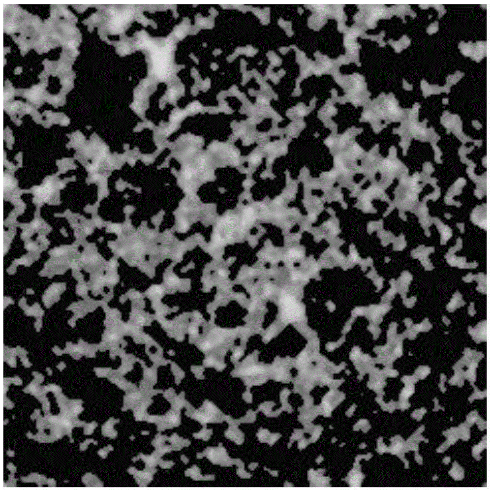 Micro-CT technology-based reservoir core three-dimensional entity model reconstruction method