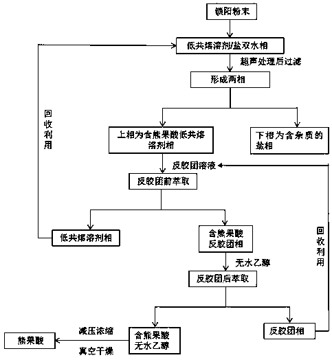 Method for extracting ursolic acid from Cynomorium songaricum by using eutectic solvent/salt aqueous two-phase system