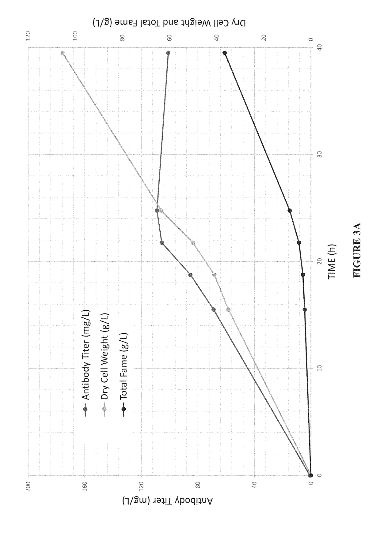 Expression of modified glycoproteins and glycopeptides