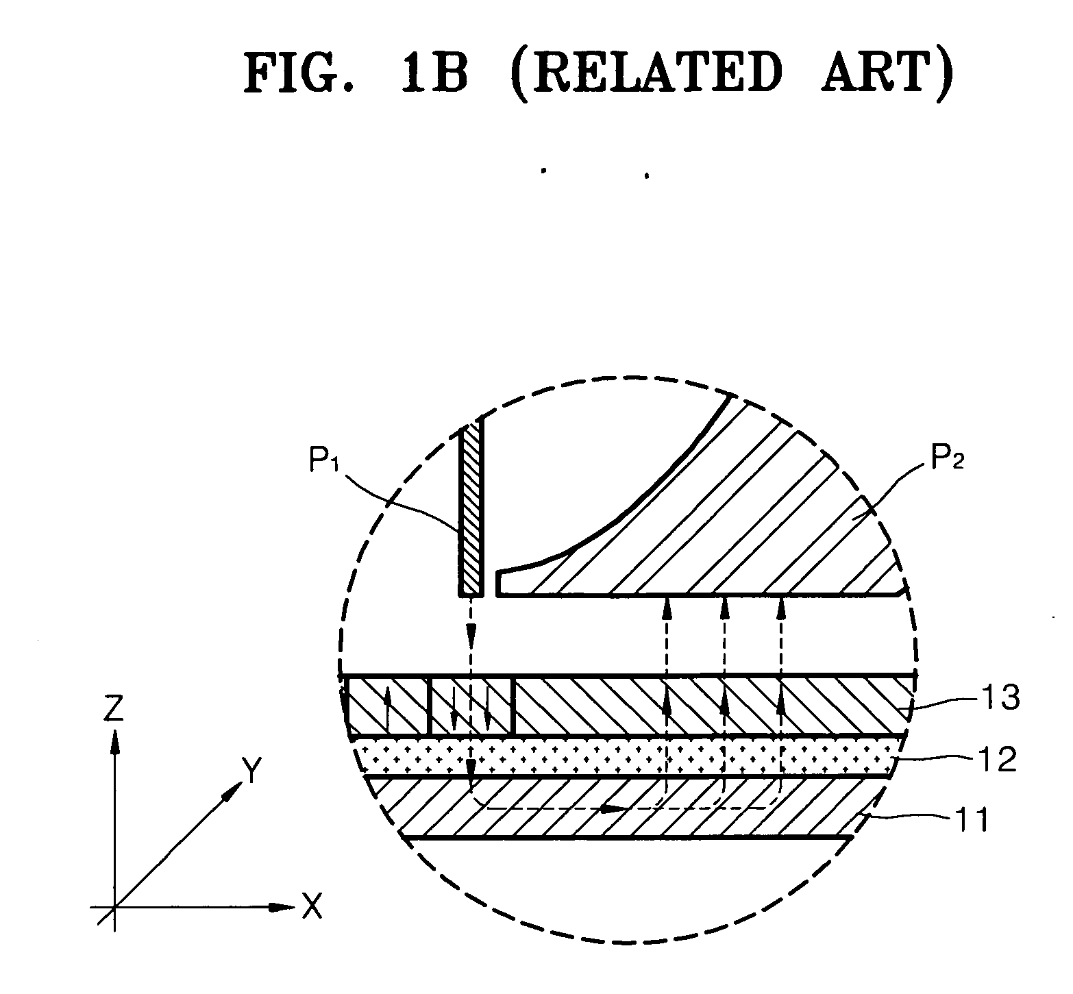 Perpendicular magnetic recording head