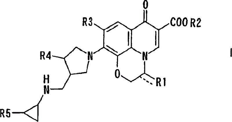 10-(3-cyclopropylaminomethyl-1-pyrrolidinyl)pyridobenzoxazinecarboxylic acid derivative effective against resistant bacterium