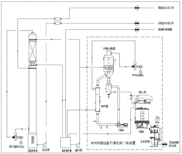 Technique for treating high-ammonia-nitrogen wastewater by recycling ammonium sulfate through MVR (Mechanical Vapor Recompression) ammonia distillation