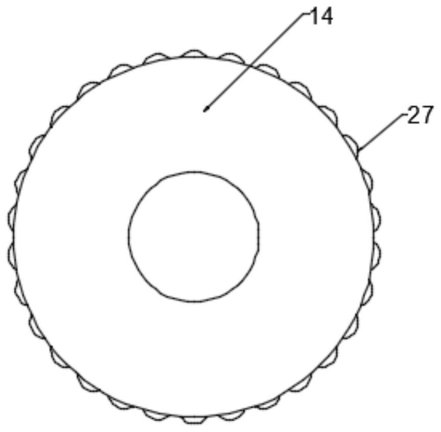 A dual grinding and pulverizing device in biomedicine