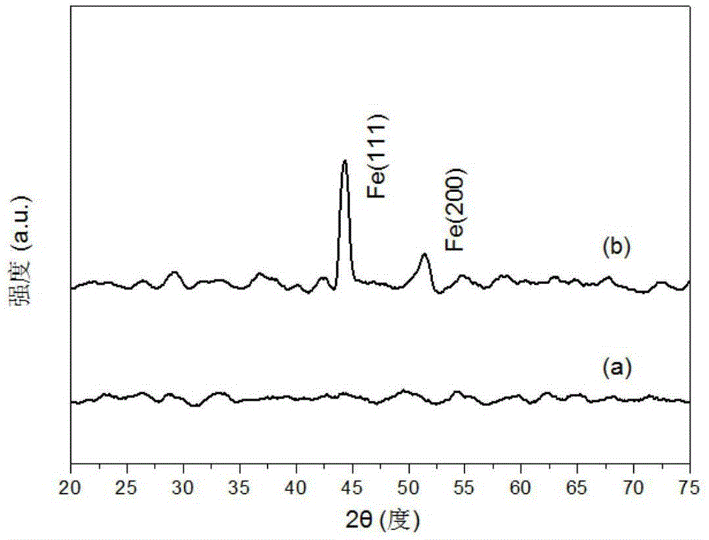 Nitrogen ferride/carbide co-doped composite material used for increasing high oxygen reduction activation of fuel cell cathode