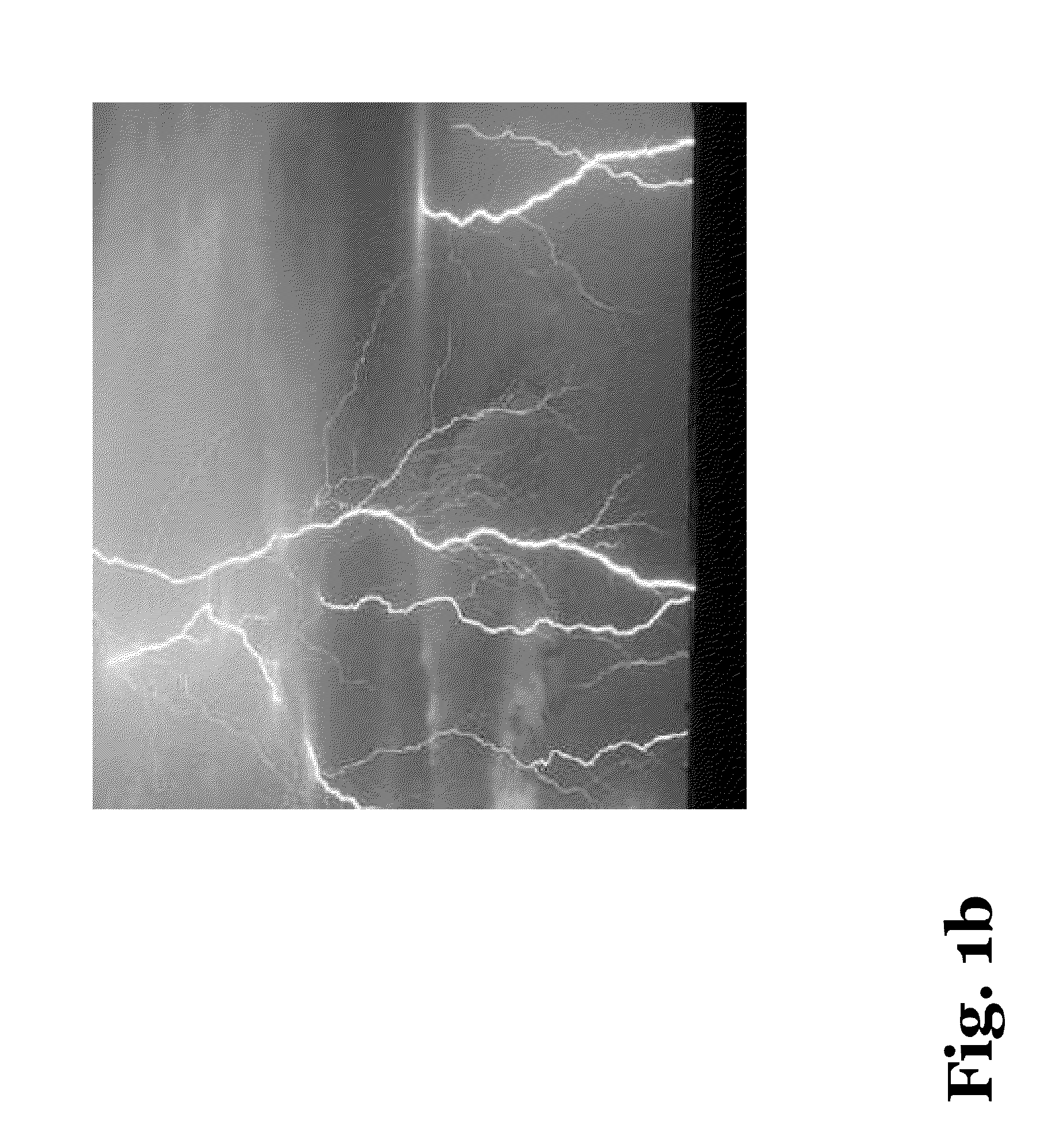 Method of atmospheric discharge energy conversion, storage and distribution