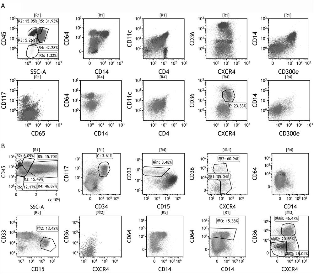 A group of antibody compositions for immunophenotyping of myeloid tumors and their applications