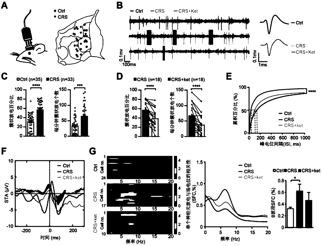 Regulation and use of T-type calcium channel inhibitor to depression