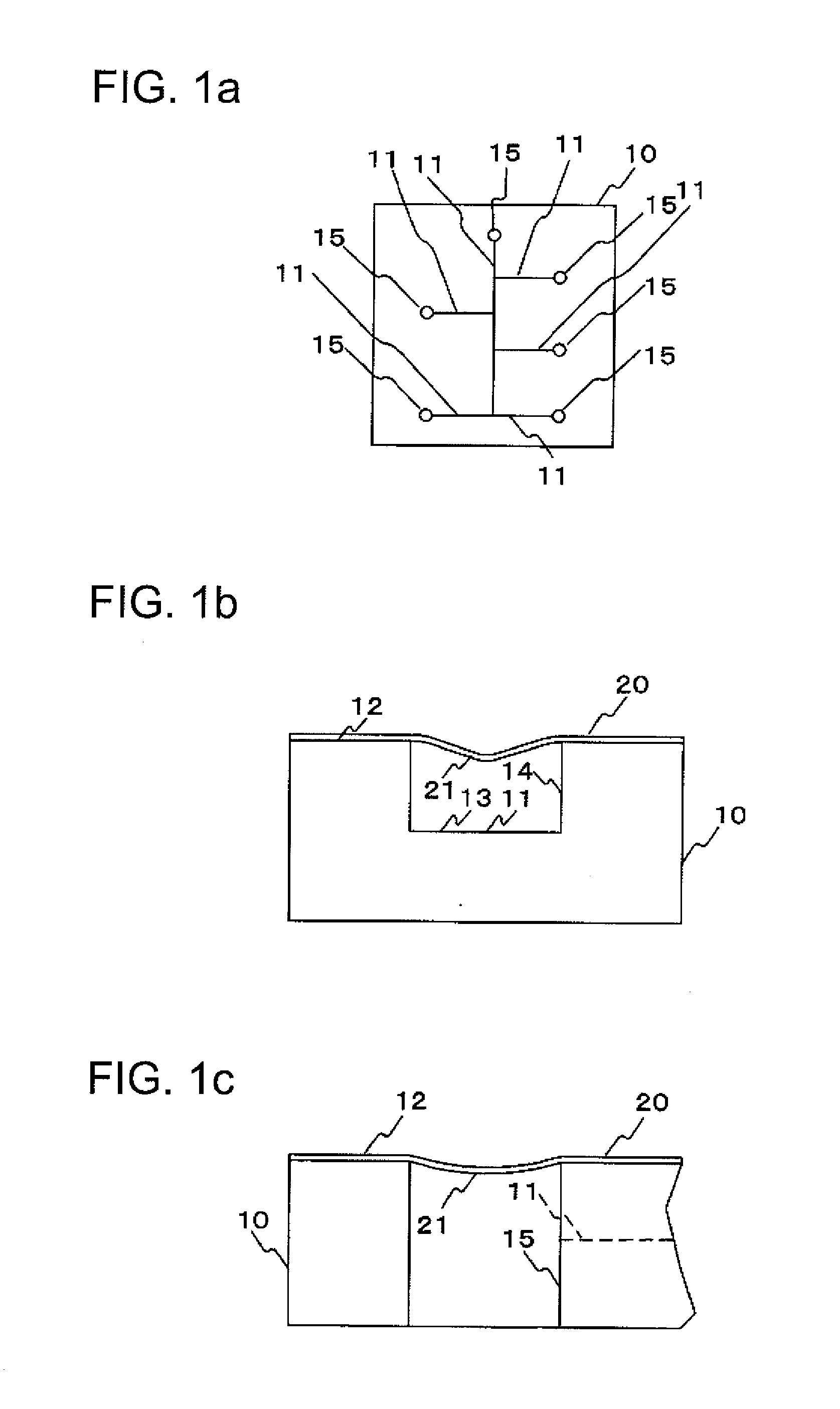 Microchip and Method of Manufacturing Same