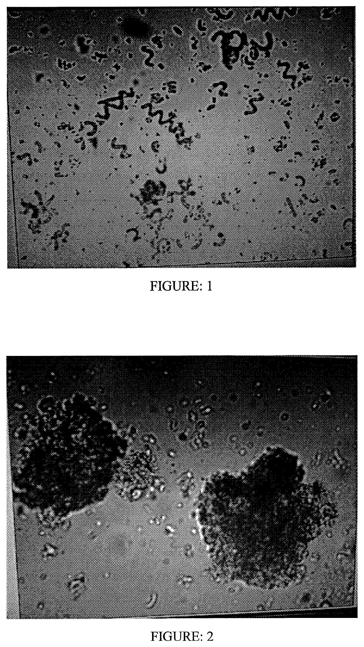 Crop fortification, nutrition and crop protection composition