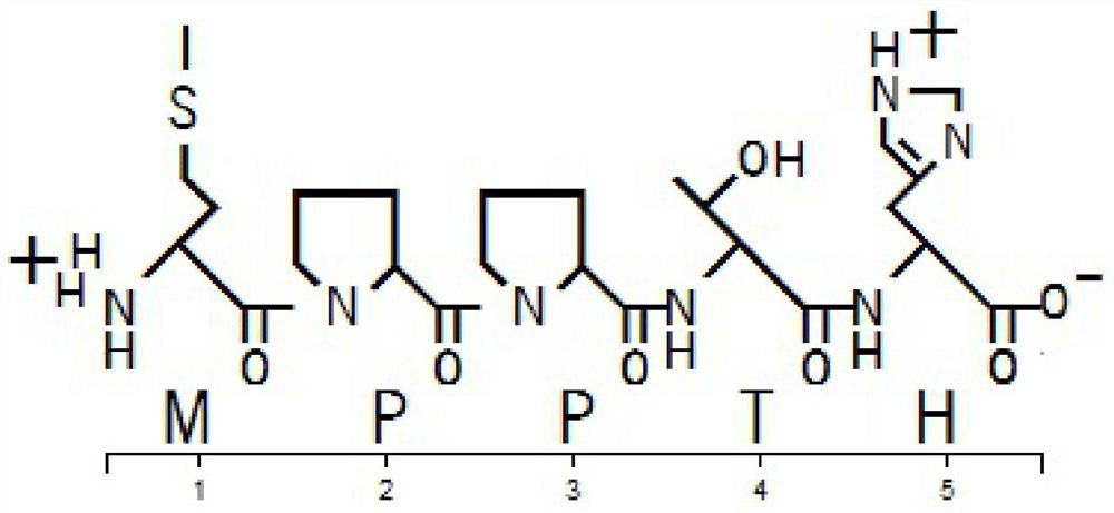 A kind of bursa active pentapeptide and application of promoting the immune response of aiv and/or ndv vaccine