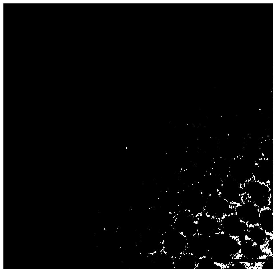 A preparation method of large-scale core-shell structure quantum dots