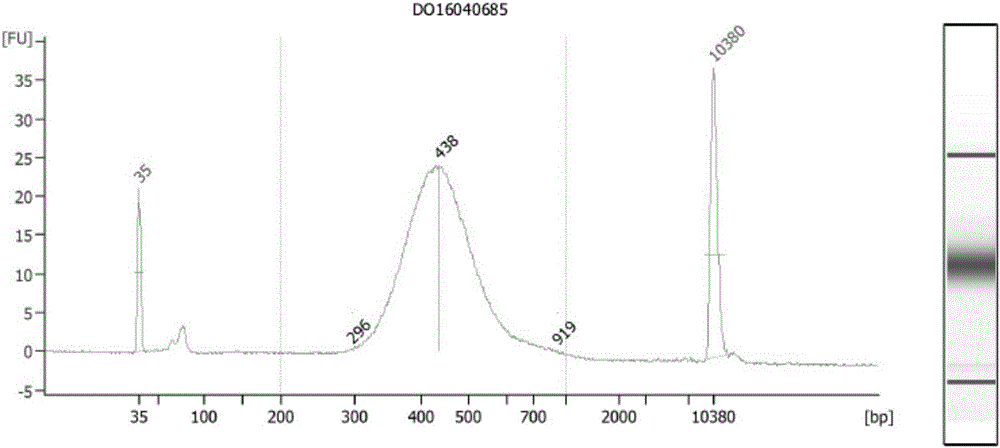 Probes, method and chip for detecting alpha and/or beta-thalassemia mutation based on whole-gene capture sequencing and application of such probes, such method and such chip