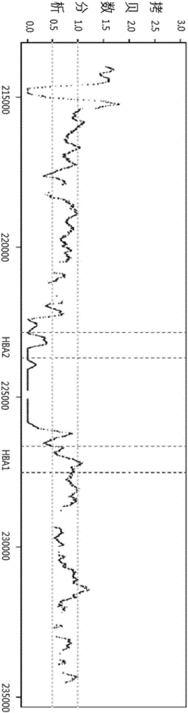 Probes, method and chip for detecting alpha and/or beta-thalassemia mutation based on whole-gene capture sequencing and application of such probes, such method and such chip