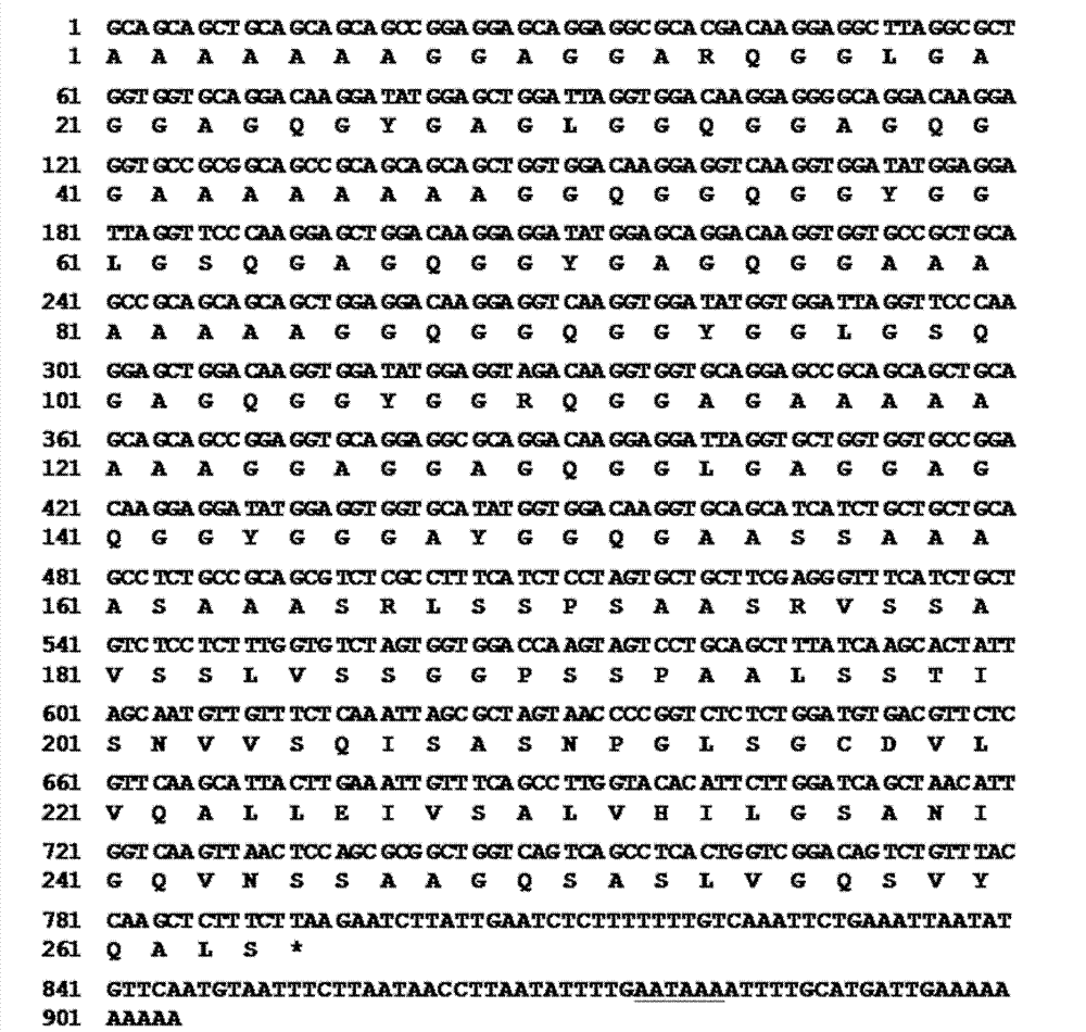 Method for improving quality of rice kernel amino acid