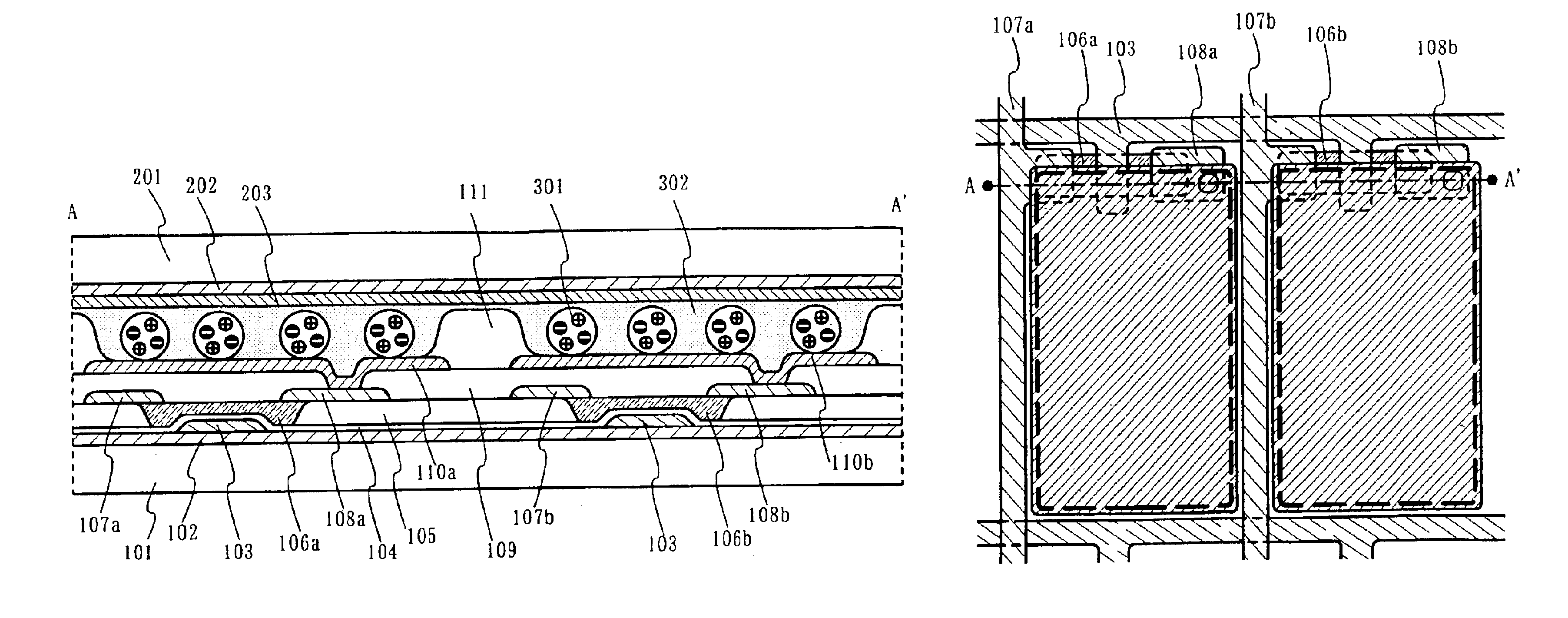 Display device comprising substrates, contrast medium and barrier layers between contrast medium and each of substrates