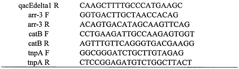 Integron In1085