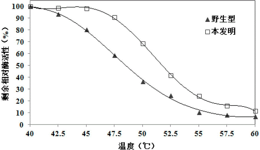 Random mutation reconstructed organophosphorus pesticide degradation enzyme and coding genes thereof