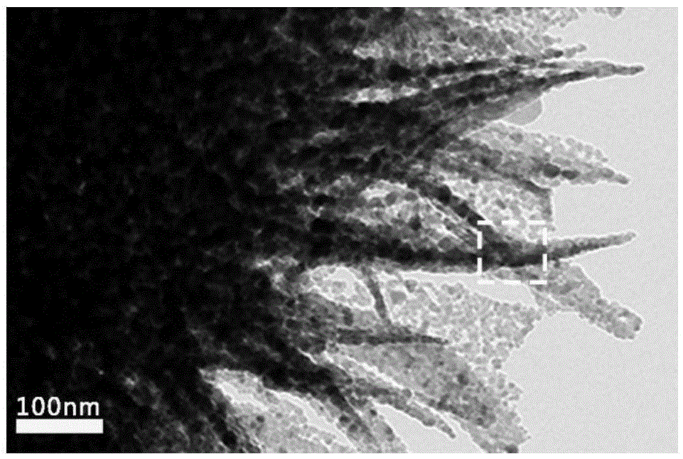 Synthesis method for loading cobaltosic oxide on butterfly wings as biological template and application thereof