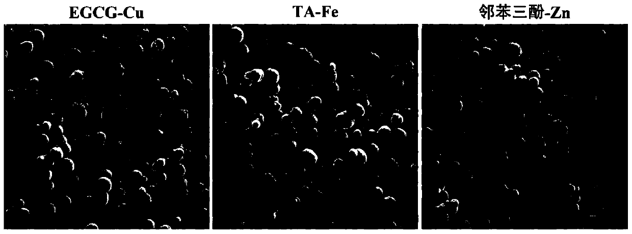 Metal polyphenol microcapsule carrier with ROS (reactive oxygen species) responsiveness and metal ion slow-release function and preparation method