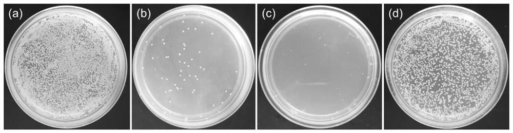 Cucurbituril air purifying agent