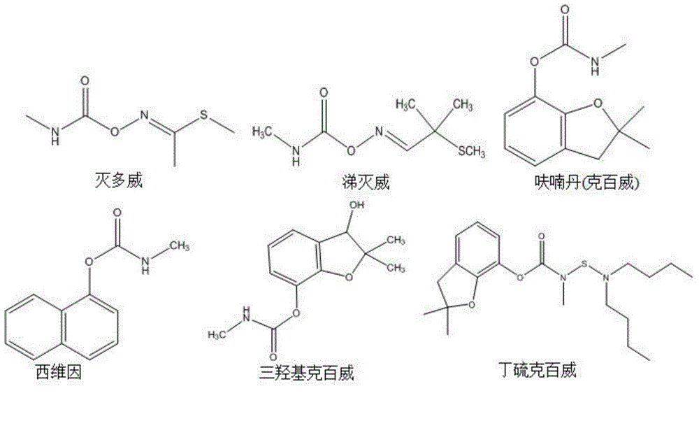 Method for preparing recombinant bombyx mori acetylcholinesterase for detecting pesticide residue