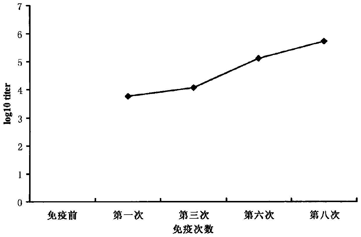 Tau resisting antibody and application thereof to treating Alzheimer disease and traumatic brain injury