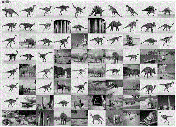 Image retrieval method based on cgci-sift local features