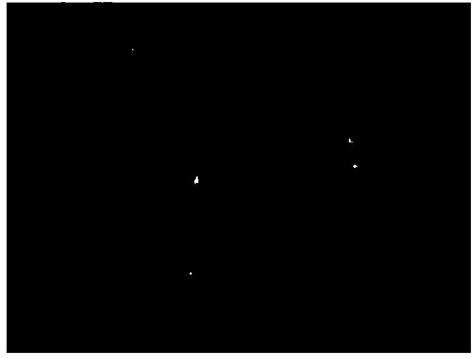 Device and method for fixing carbon dioxide by utilizing biomineralization of spirulina platensis in seawater system