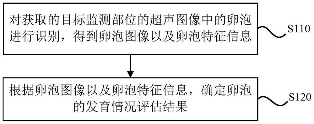 Follicle monitoring method, device, system and storage medium