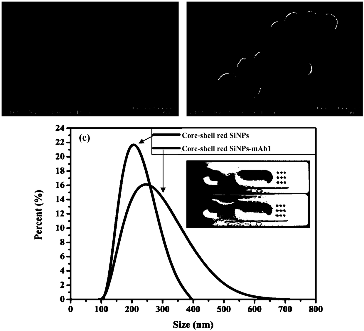 Method for performing immunochromatographic detection on escherichia coli O157:H7 by taking colored silicon dioxide nanometer microspheres as markers