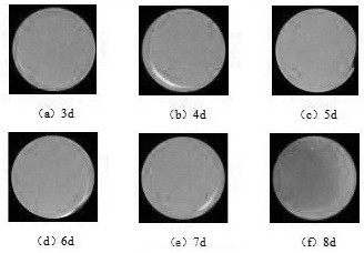 Deep learning-based egg group image segmentation fertilization information detection device and method