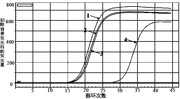 Monodispersed nano magnetic bead used for rapid sample pretreatment and preparation method thereof