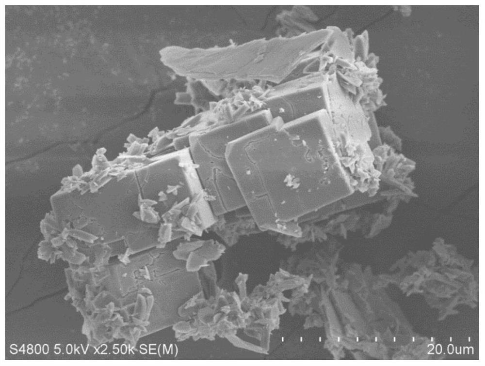 Nitrogen-doped carbon quantum dot/metal organic framework material MOF-5 photocatalyst as well as preparation method and application thereof