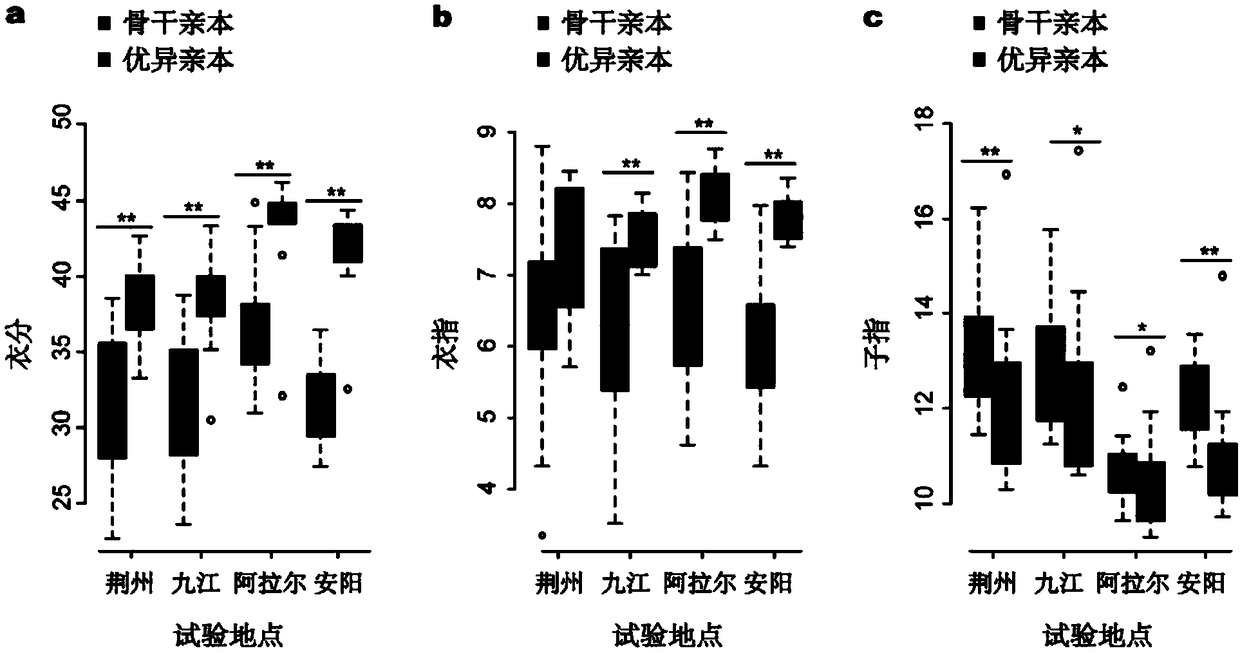 Identifying and breeding method of SNP marker for increasing cotton fiber yield and high-yield cotton