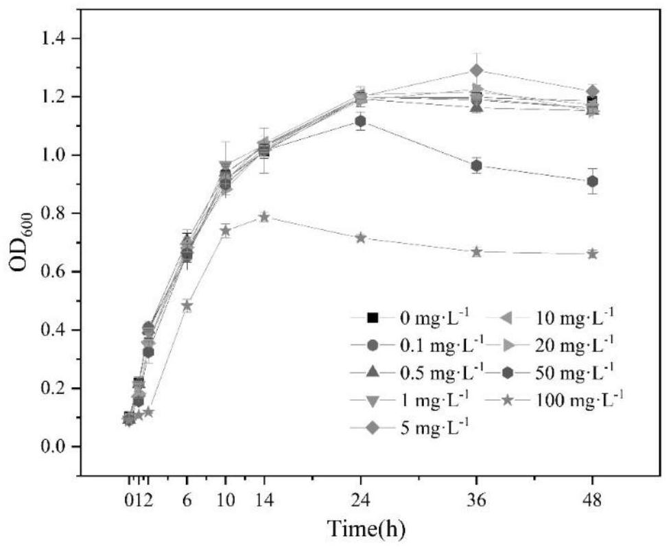 Cadmium-resistant strain, method for constructing symbiont with microalgae and application of symbiont