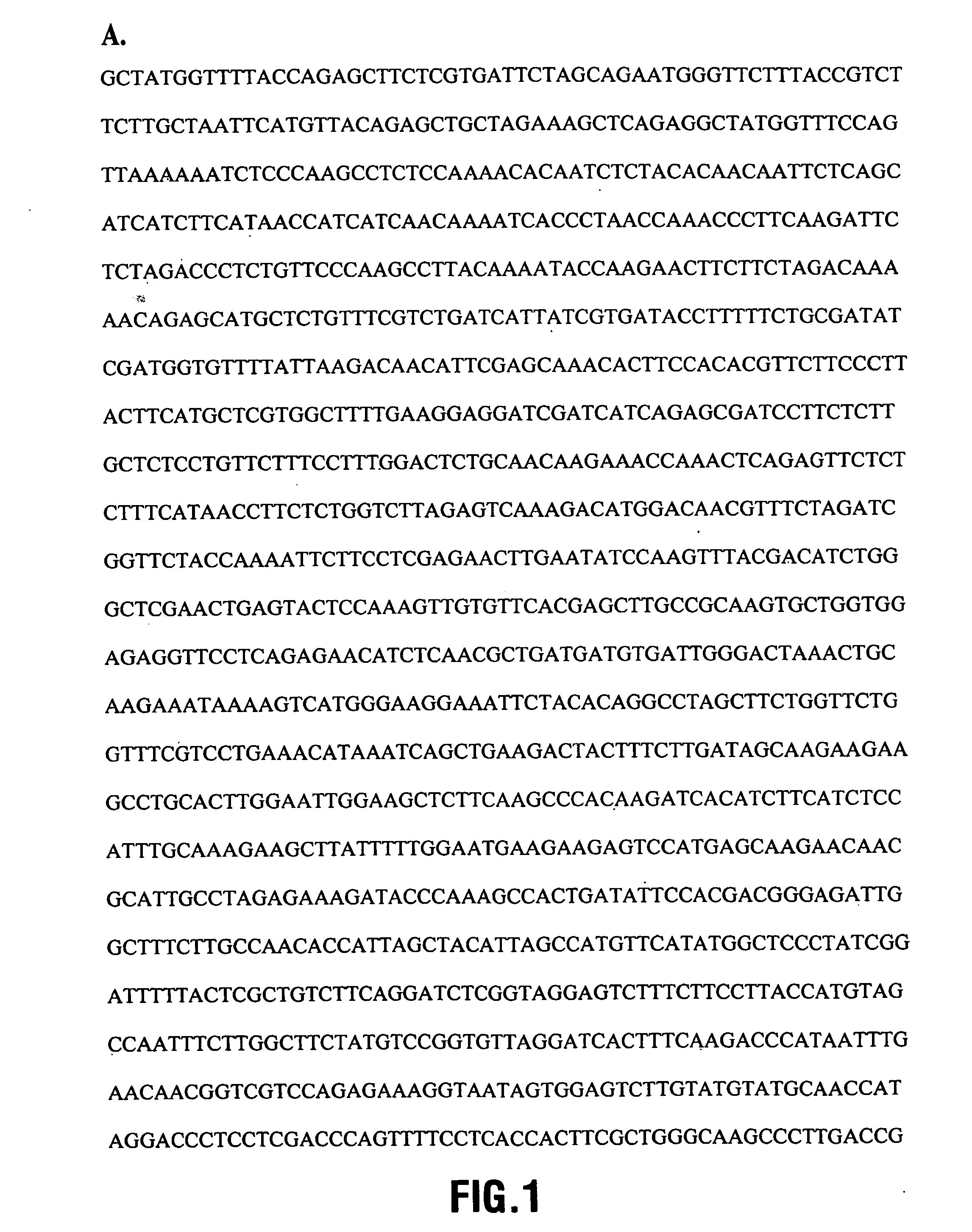 Higher plant cytosolic er-based glycerol-3-phosphate acyltransferase genes