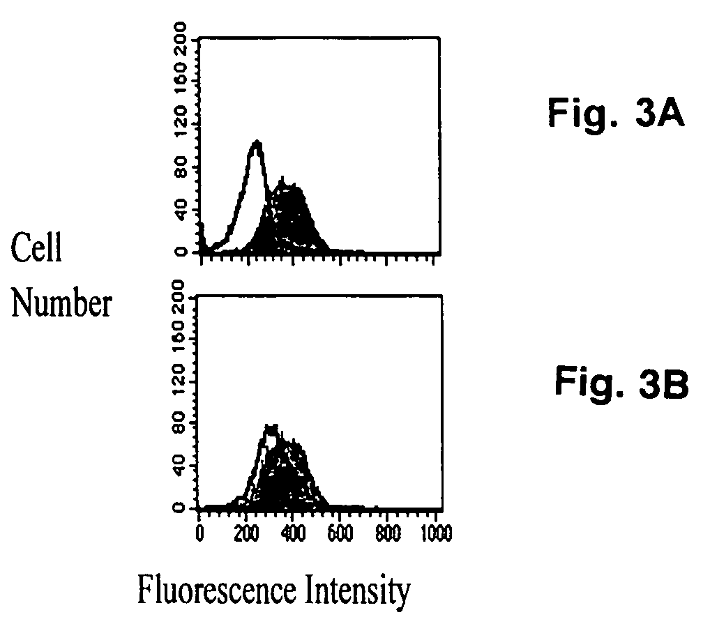 Method of treating inflammation with inhibitors of sialyl transferases