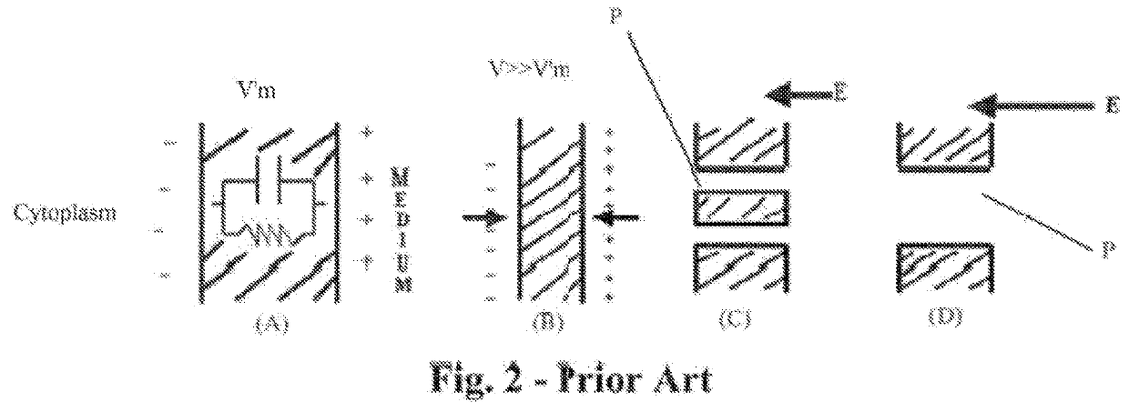 Radio-frequency electrical membrane breakdown for the treatment of high risk and recurrent prostate cancer, unresectable pancreatic cancer, tumors of the breast, melanoma or other skin malignancies, sarcoma, soft tissue tumors, ductal carcinoma, neoplasia, and intra and extra luminal abnormal tissue