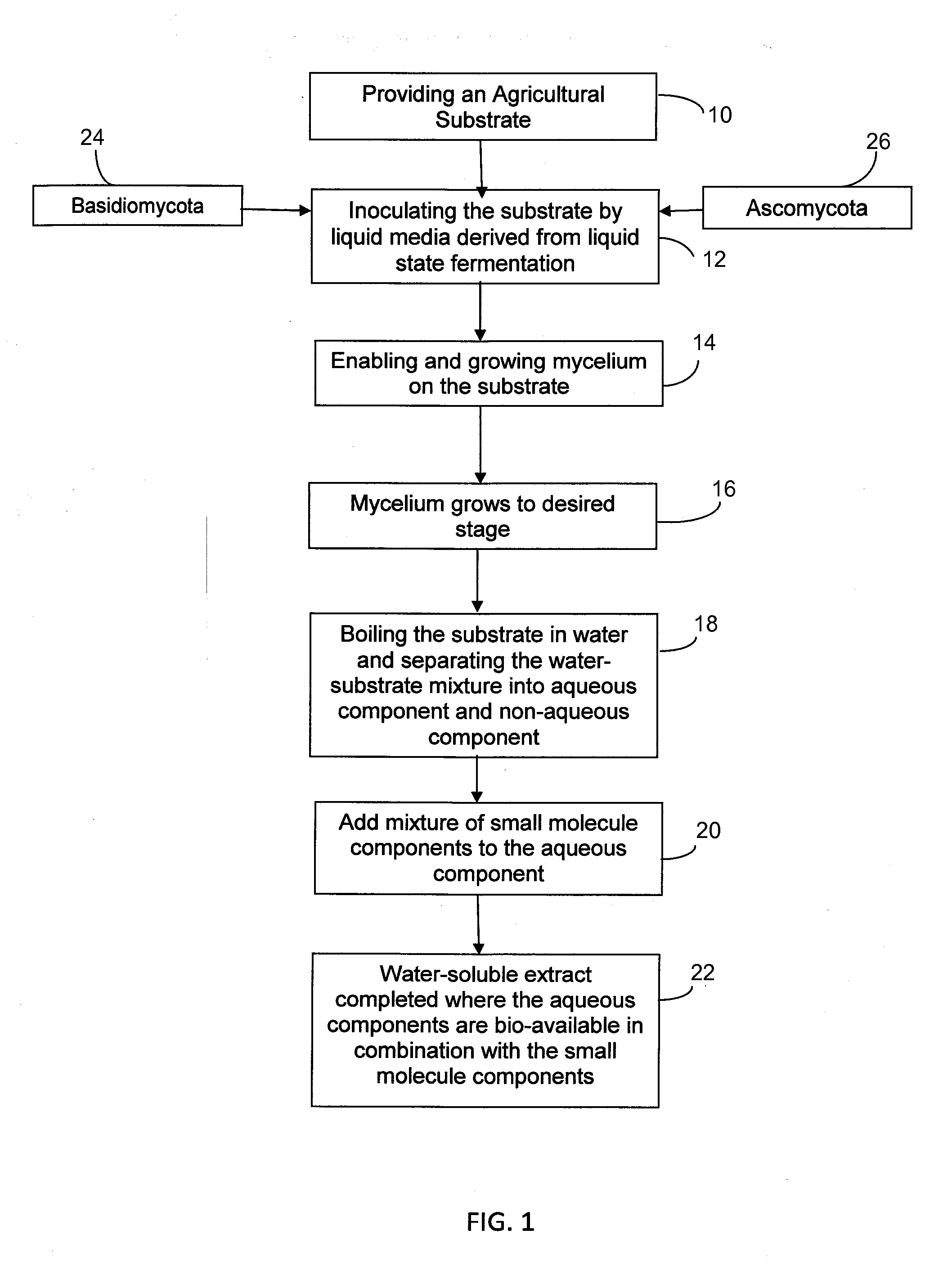 Method of Myceliating Coffee