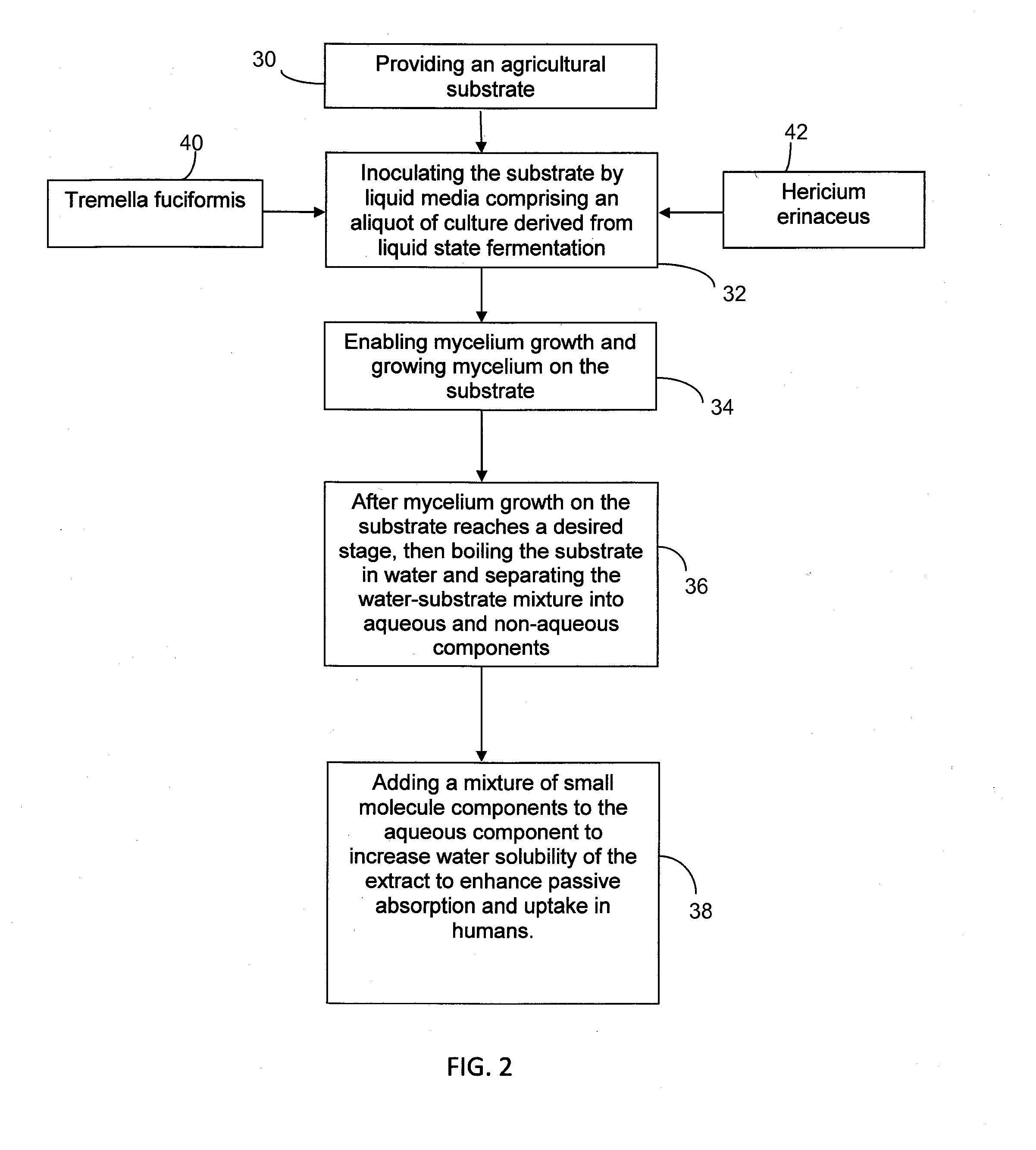 Method of Myceliating Coffee