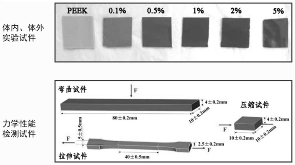 Dental implant with local functionalization of biomimetic gradient modulus and its preparation method