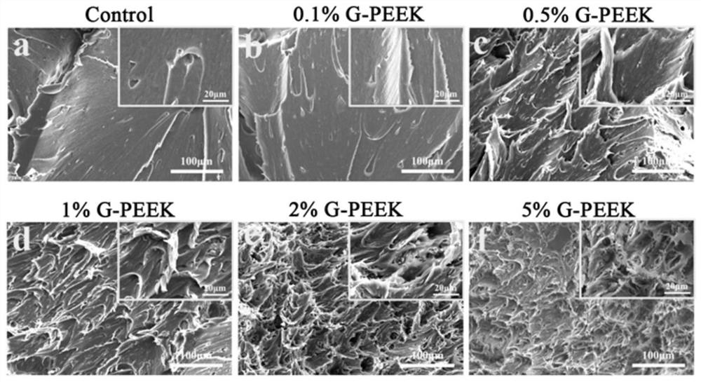 Dental implant with local functionalization of biomimetic gradient modulus and its preparation method