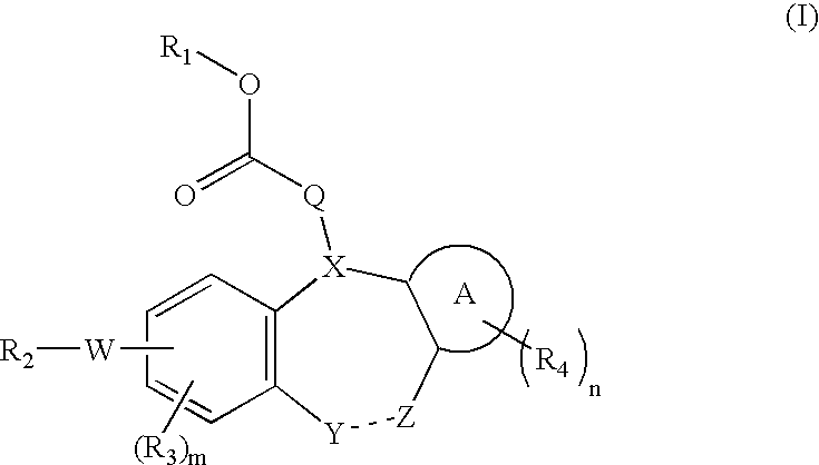 Integrin receptor inhibitors