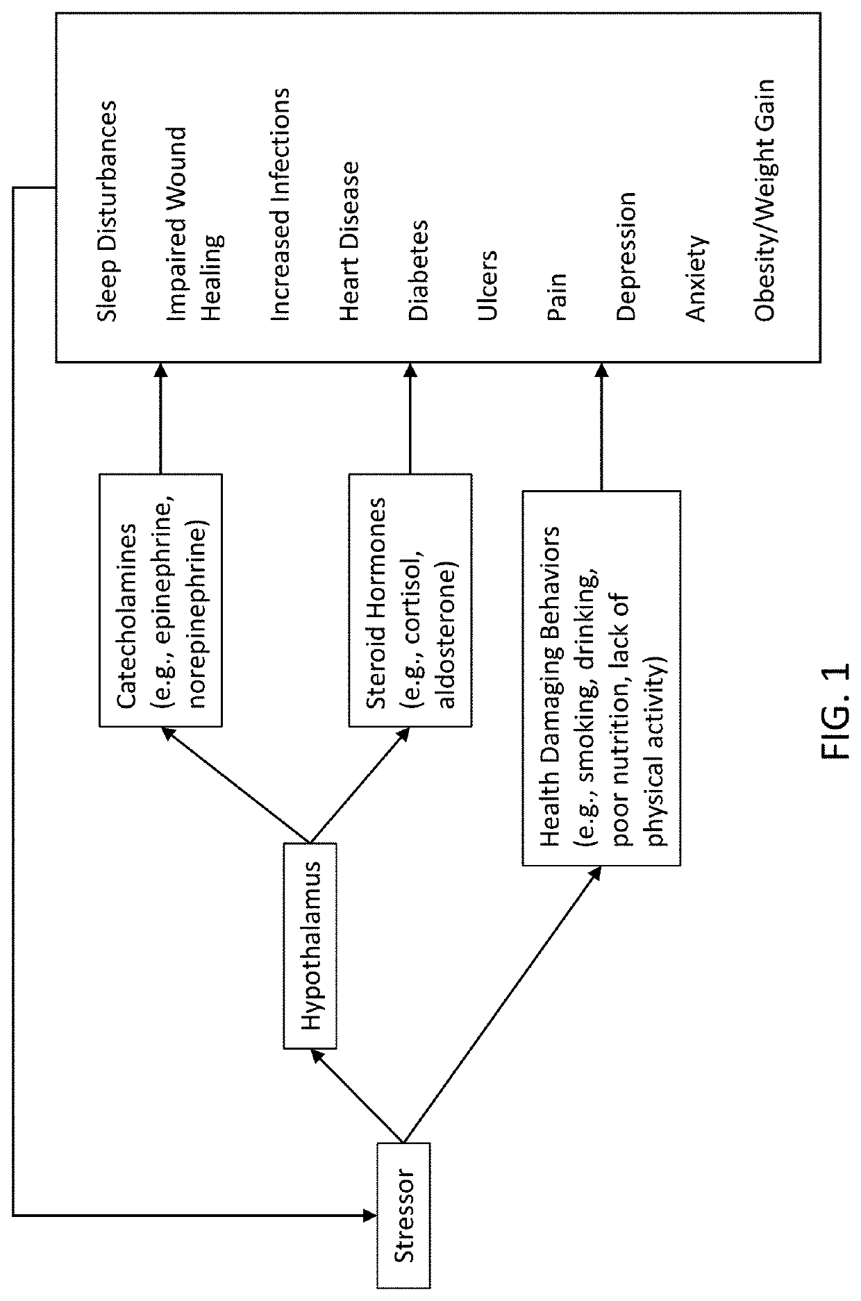 Stress reduction and sleep promotion system