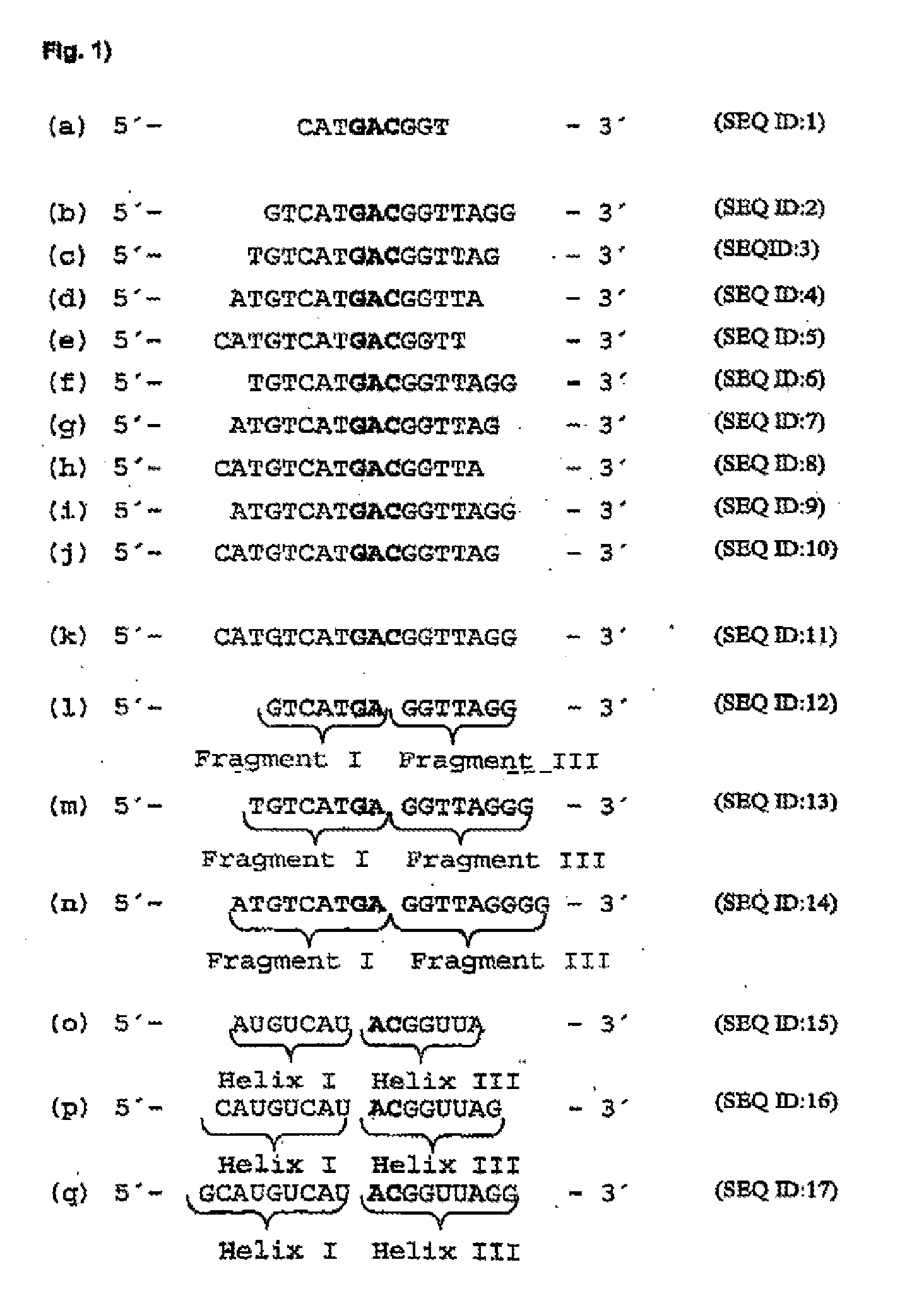 Antisense Oligonucleotides Against VR1