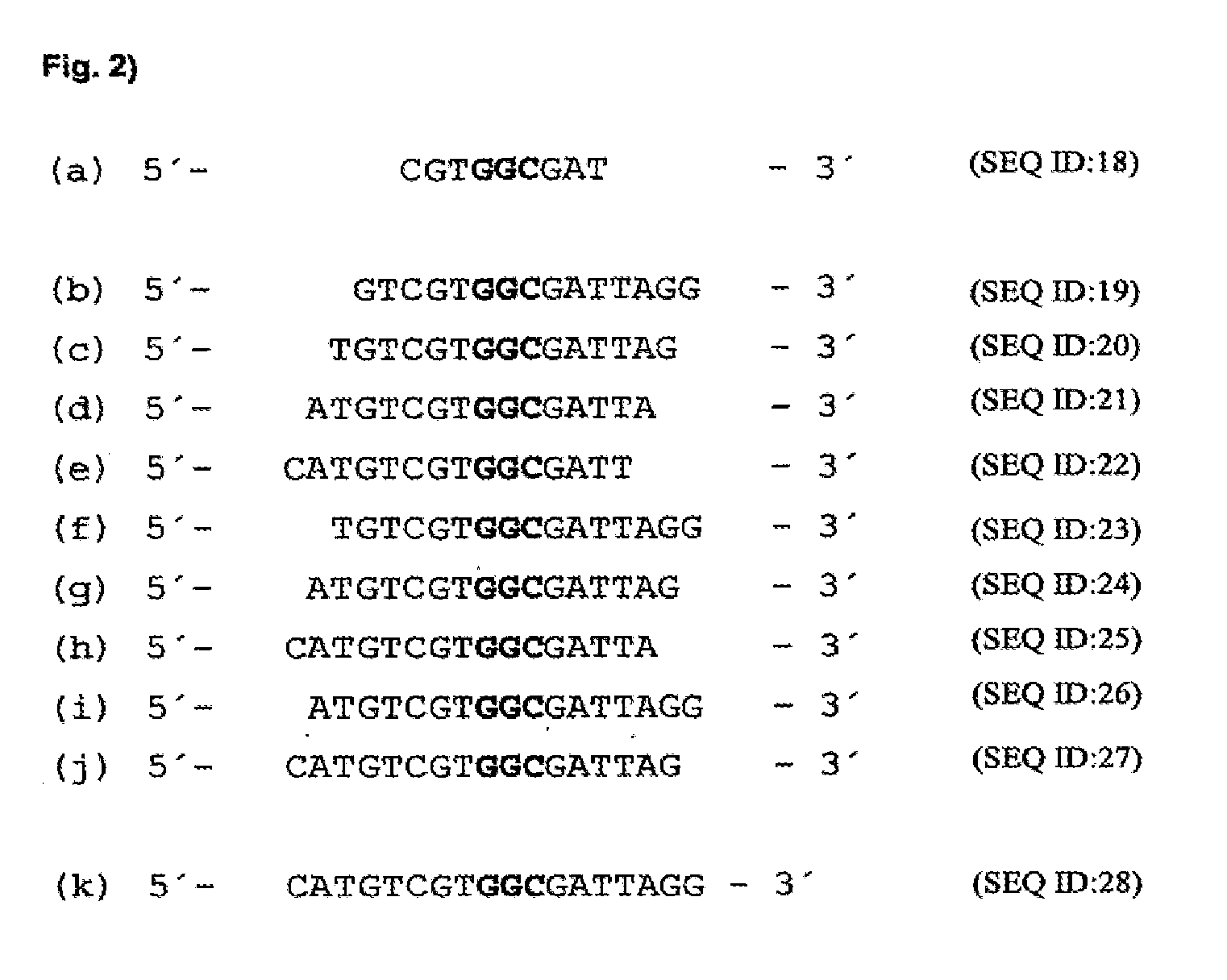 Antisense Oligonucleotides Against VR1