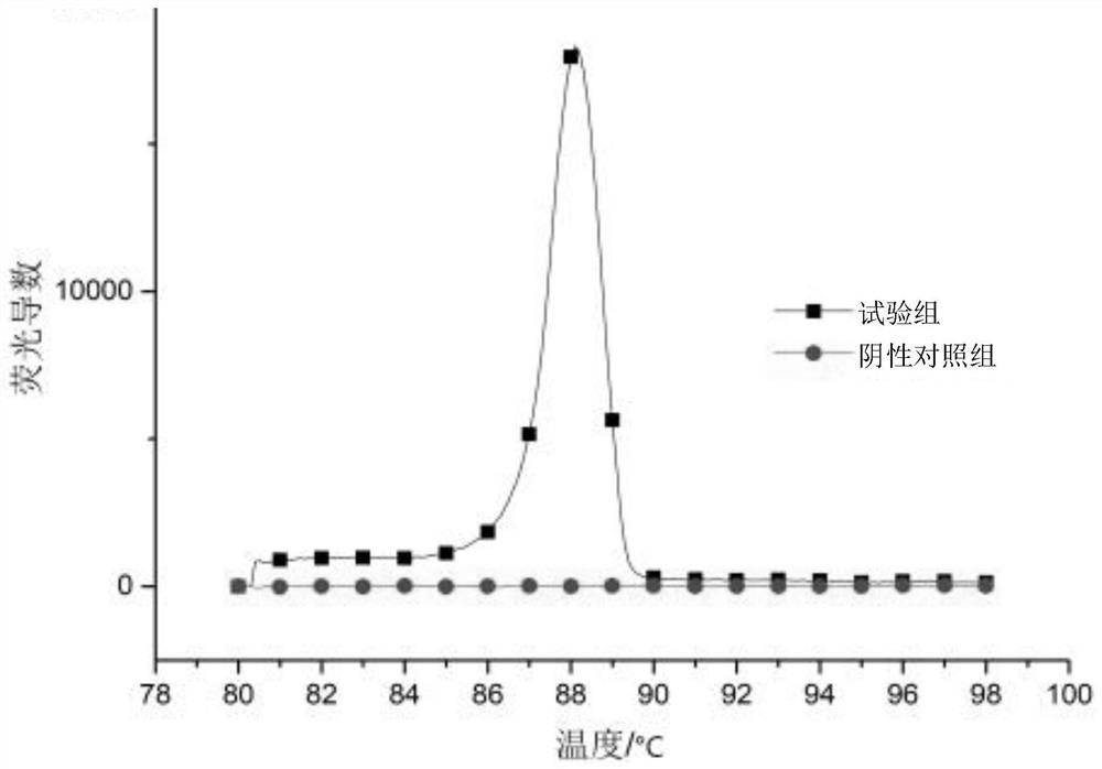 Constant-temperature detection method for identifying lactobacillus brevis as well as special primer and kit thereof