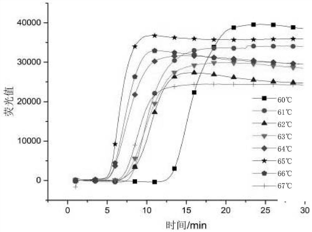 Constant-temperature detection method for identifying lactobacillus brevis as well as special primer and kit thereof