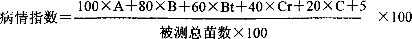 Molecular mark method for rice anti-leaf drop streak site