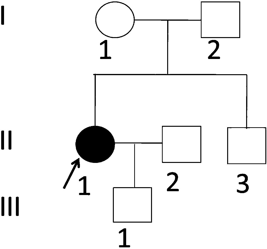 New mutation-causing gene slc12a3 in gitelman syndrome, its encoded protein and its application